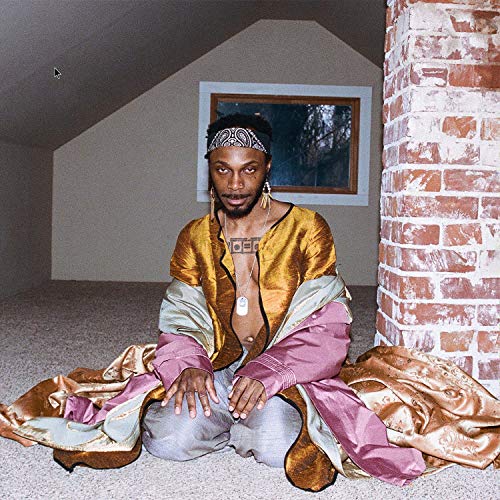 Jpegmafia/All My Heroes Are Cornballs@2 LP