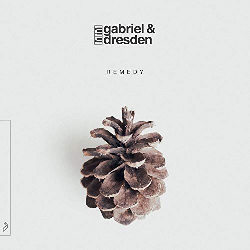 Gabriel & Dresden/Remedy