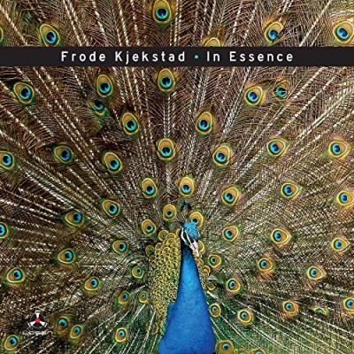 Frode Kjekstad/In Essence