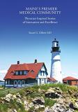 Stephen R. Blattner Md Maine's Premier Medical Community Physician Inspired Stories Of Innovation 