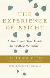 Joseph Goldstein The Experience Of Insight A Simple And Direct Guide To Buddhist Meditation 