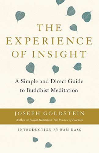Joseph Goldstein The Experience Of Insight A Simple And Direct Guide To Buddhist Meditation 