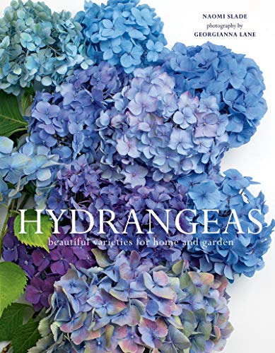 Naomi Slade Hydrangeas Beautiful Varieties For Home And Garden 