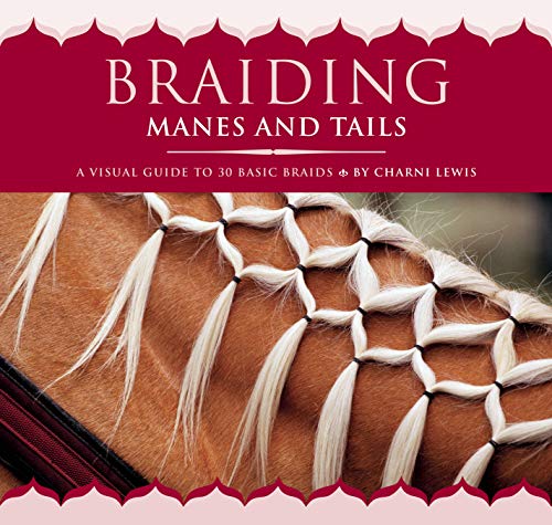 Charni Lewis Braiding Manes And Tails A Visual Guide To 30 Basic Braids 