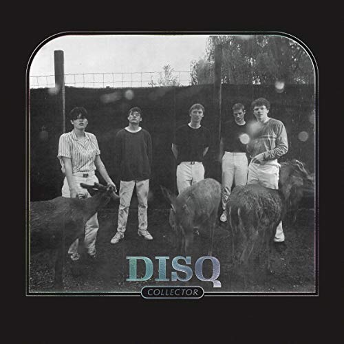 Disq/Collector