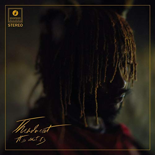 Thundercat/It Is What It Is@CD softpack. Photography by Eddie Alcazar.