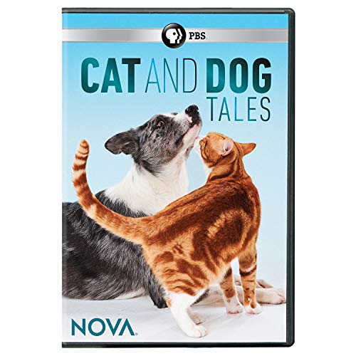 Nova Cat & Dog Tales Nova Cat & Dog Tales 