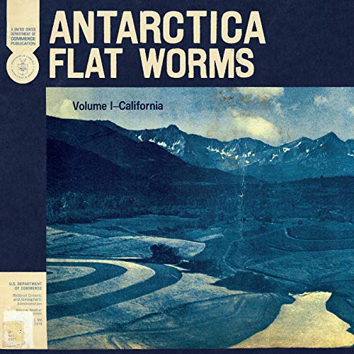 Flat Worms/Antarctica