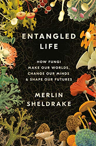 Merlin Sheldrake/Entangled Life@ How Fungi Make Our Worlds, Change Our Minds & Sha