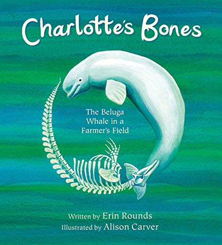 Erin Rounds Charlotte's Bones The Beluga Whale In A Farmer's Field 