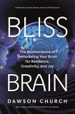 Dawson Church Bliss Brain The Neuroscience Of Remodeling Your Brain For Res 