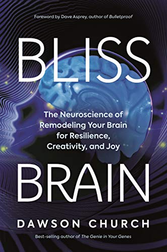 Dawson Church Bliss Brain The Neuroscience Of Remodeling Your Brain For Res 