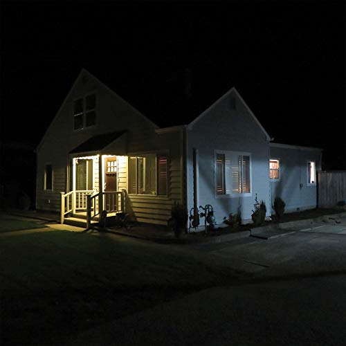 Damien Jurado/What's New, Tomboy?