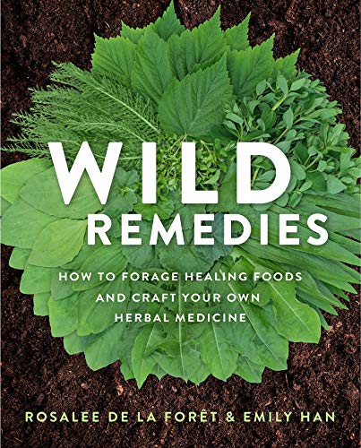 Rosalee De La For?t Wild Remedies How To Forage Healing Foods And Craft Your Own He 