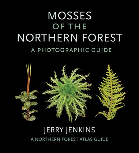 Jerry Jenkins Mosses Of The Northern Forest A Photographic Guide 