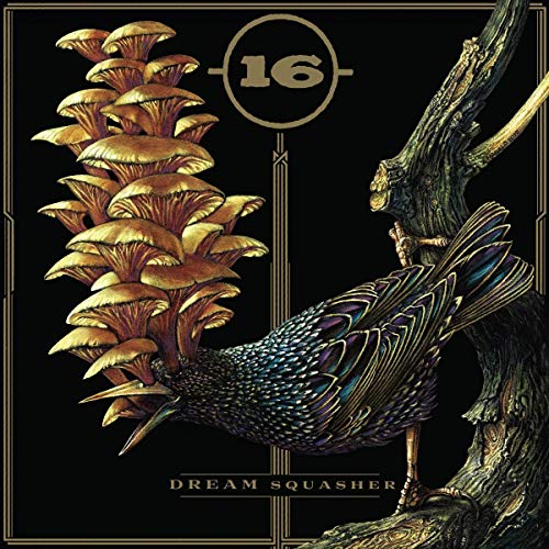 16/Dream Squasher