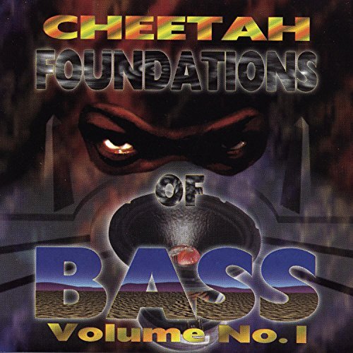 Dj Magic Mike/Foundations Of Bass