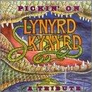 Pickin' On Lynyrd Skynyrd Pickin' On Lynyrd Skynyrd T T Lynyrd Skynyrd 