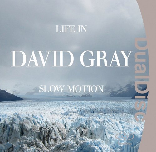 GRAY,DAVID/LIFE IN SLOW MOTION