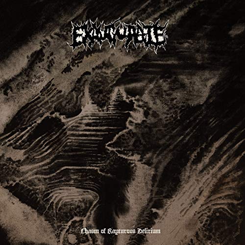 Exaugurate/Chasm Of Rapturous Delirium@LP