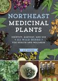 Liz Neves Northeast Medicinal Plants Identify Harvest And Use 111 Wild Herbs For Hea 