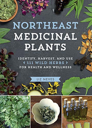 Liz Neves Northeast Medicinal Plants Identify Harvest And Use 111 Wild Herbs For Hea 