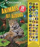 Courtney Acampora Discovery Animals All Around 