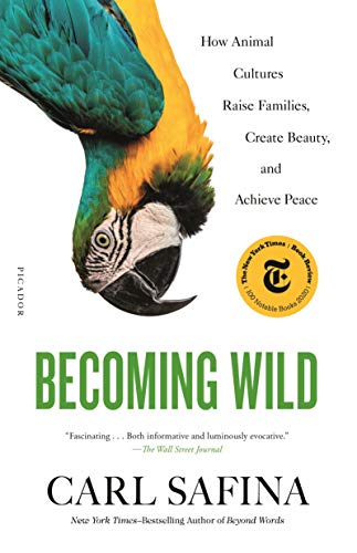 Carl Safina/Becoming Wild@How Animal Cultures Raise Families, Create Beauty