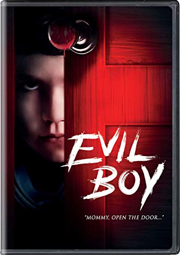 EVIL BOY (STRAY)/Tvar@DVD@NR