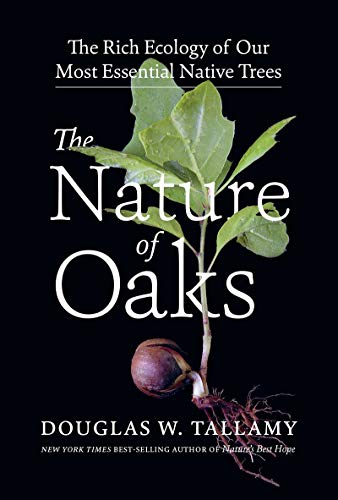 Douglas W. Tallamy The Nature Of Oaks The Rich Ecology Of Our Most Essential Native Tre 