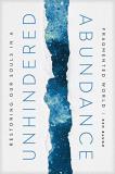 Ken Baugh Unhindered Abundance Restoring Our Souls In A Fragmented World 