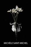 Mich?le Saint Michel Grief Is An Origami Swan An Art Book About Grief 