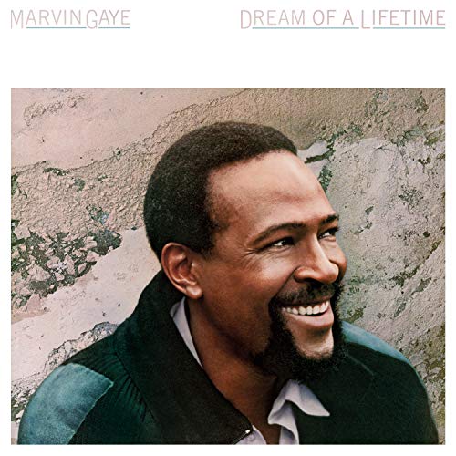 Marvin Gaye/Dream Of A Lifetime