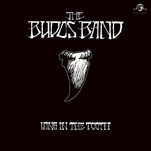 The Budos Band/Long in the Tooth