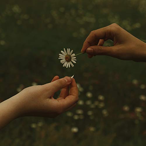 Goldmund/The Time It Takes (transparent marigold orange vinyl)