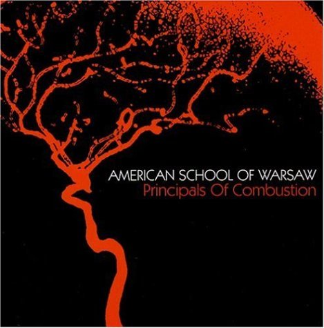 American School Of Warsaw/Principals Of Combustion