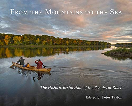 Peter Taylor From The Mountains To The Sea 
