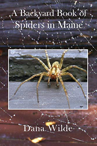 Dana Wilde A Backyard Book Of Spiders In Maine 