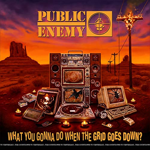 Public Enemy/What You Gonna Do When The Grid Goes Down@LP
