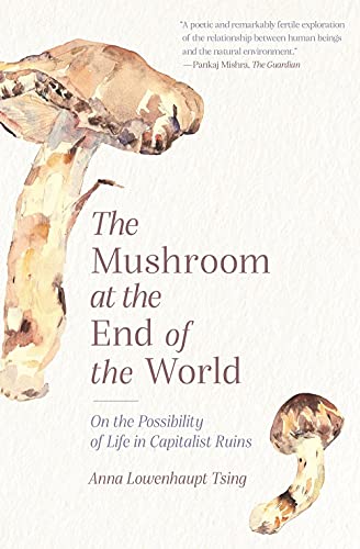 Anna Lowenhaupt Tsing/The Mushroom at the End of the World@ On the Possibility of Life in Capitalist Ruins