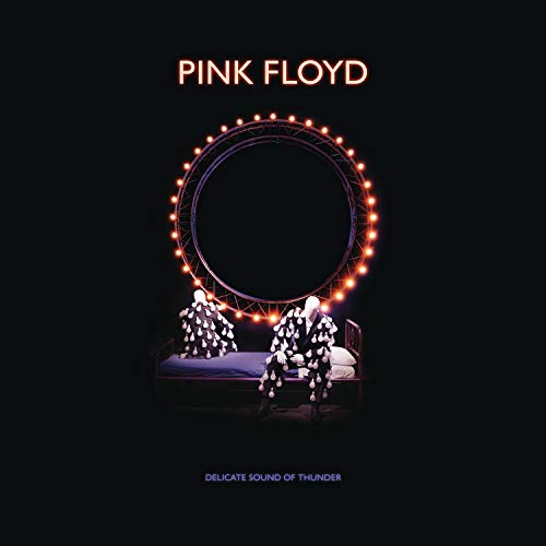 Pink Floyd/Delicate Sound Of Thunder@2CD/DVD/BR