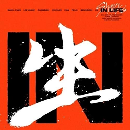 Stray Kids Repackage In Life 