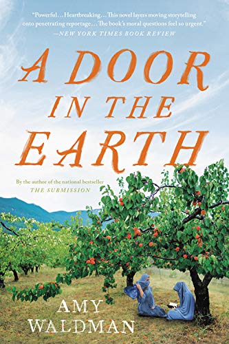 Amy Waldman/A Door in the Earth