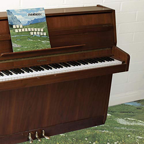Grandaddy/The Sophtware Slump.....On  A Wooden Piano@Black Vinyl