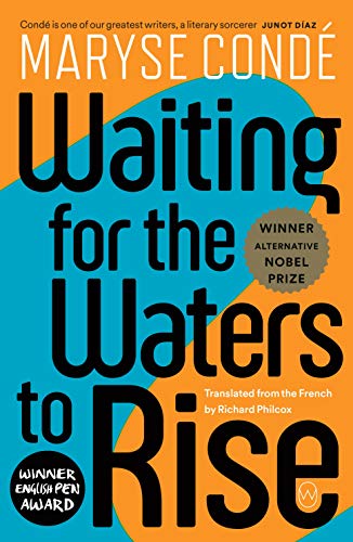 Maryse Cond?/Waiting for the Waters to Rise