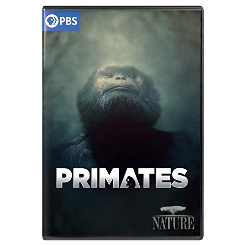 Nature/Primates@PBS/DVD@PG