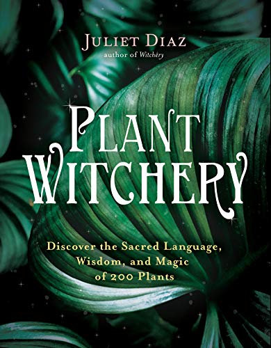 Juliet Diaz Plant Witchery Discover The Sacred Language Wisdom And Magic O 