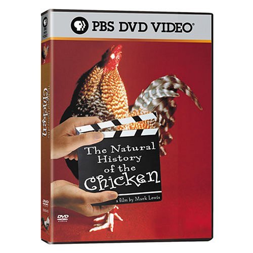 Natural History Of The Chicken/Natural History Of The Chicken@Nr