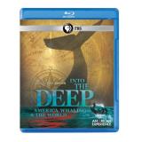 Amex Into The Deep America W American Experience Blu Ray Ws Nr 
