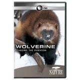 Wolverine Chasing The Phantom Nature Ws Nr 